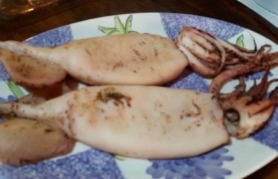 &Theta;&rho;ά&psi;&alpha;&lambda;&alpha; &sigma;&tau;&omicron; &phi;&omicron;ύ&rho;&nu;&omicron;