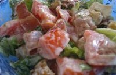 &Sigma;&alpha;&lambda;ά&tau;&alpha; &mu;&alpha;&rho;&omicron;ύ&lambda;&iota;-&kappa;&omicron;&tau;ό&pi;&omicron;&upsilon;&lambda;&omicron; &mu;&epsilon; &gamma;&iota;&alpha;&omicron;ύ&rho;&tau;&iota;