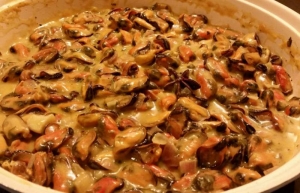 &Mu;ύ&delta;&iota;&alpha; &mu;&epsilon; &sigma;ά&lambda;&tau;&sigma;&alpha; &mu;&omicron;&upsilon;&sigma;&tau;ά&rho;&delta;&alpha;&sigmaf;