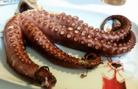 &Chi;&tau;&alpha;&pi;ό&delta;&iota; &xi;&iota;&delta;ά&tau;&omicron; &sigma;&tau;&omicron; &phi;&omicron;ύ&rho;&nu;&omicron;